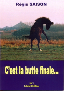 c'est la butte finale